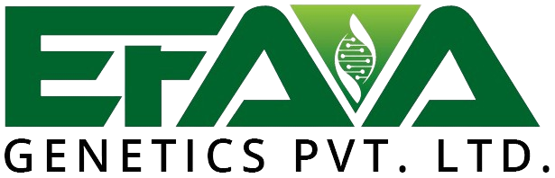 EFAA Genetics Pvt. Ltd.